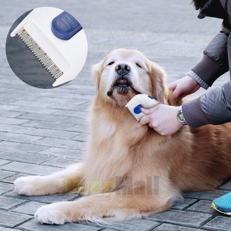 electric dog brush